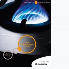 Electrolux Annual Report 2009