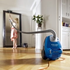 Electrolux cutest long reach vacuum cleaner in new stylish colors - Ergospace