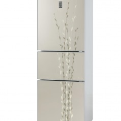 The Willow range of refrigerators was launched 2011 by Electrolux in China.