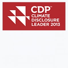 CDP Disclosure Leader 2013