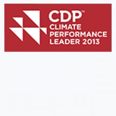 CDP Performance Leader 2013