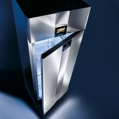 Electrolux Ecostore professional fridge