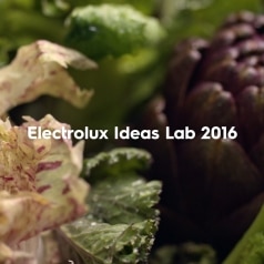 Electrolux Ideas Lab 2016