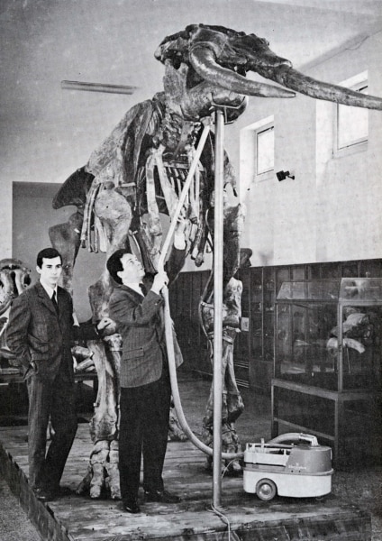A mammoth is vacuumed with a Z73 in Italy