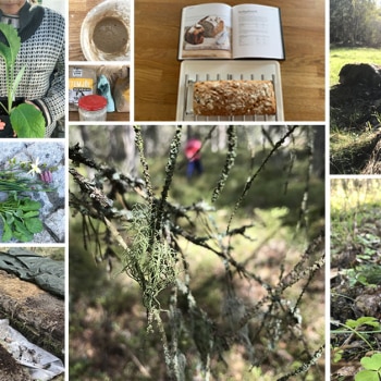 Mindful practices to tackle wellbeing