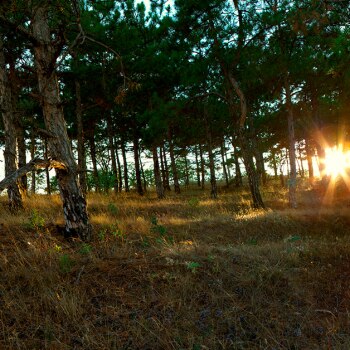 New Sustainability Award for Electrolux suppliers attracts high number of entries