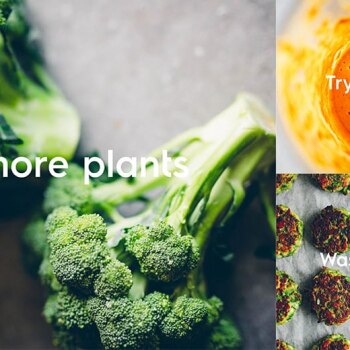 World Food Day event: ‘Consumer power, eating less meat and 30,000 edible plants’.